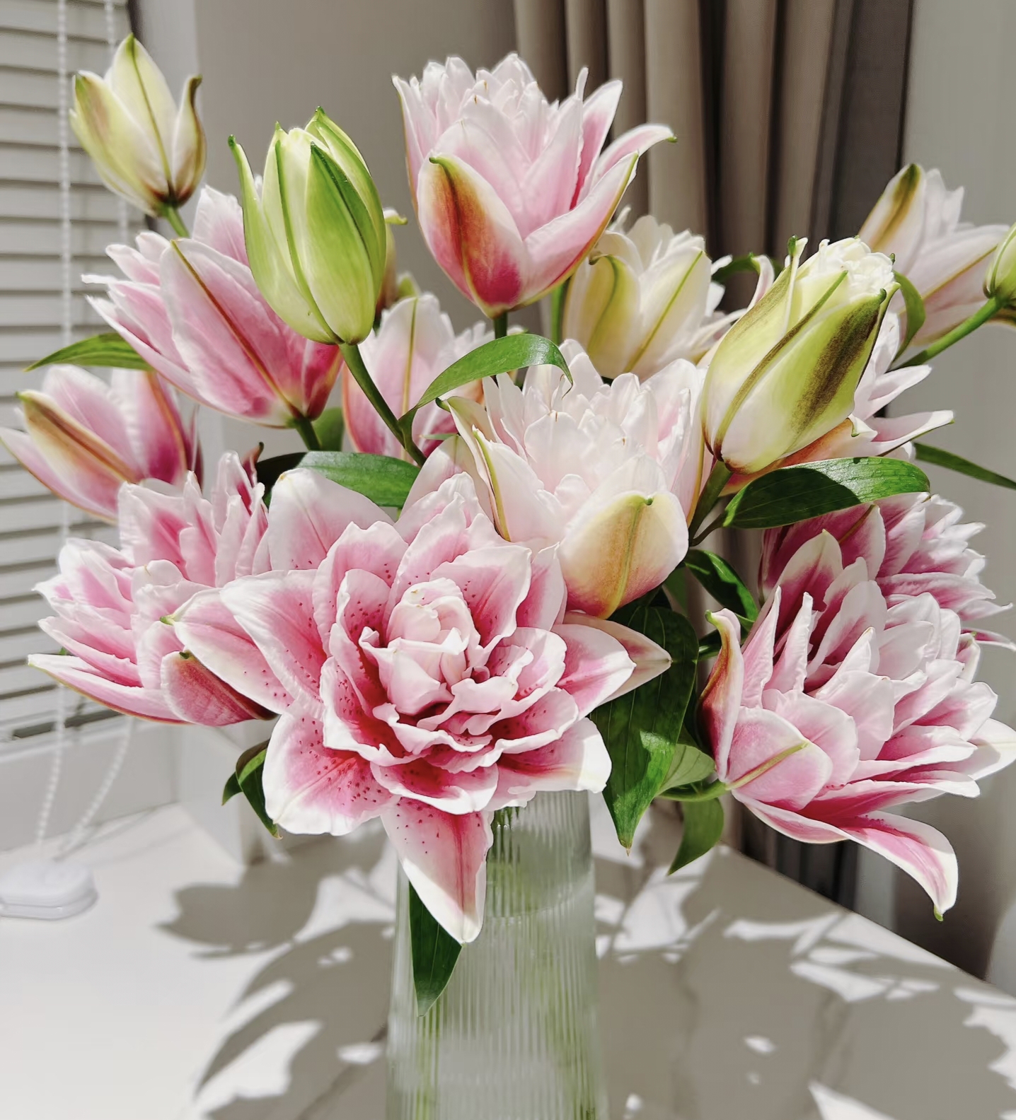 【火星之恋】沈阳晓全花行浅粉色重瓣百合