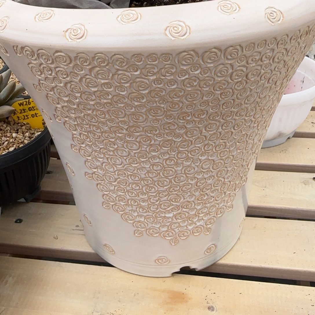 人***琳拍土加预存三个东云烧结清