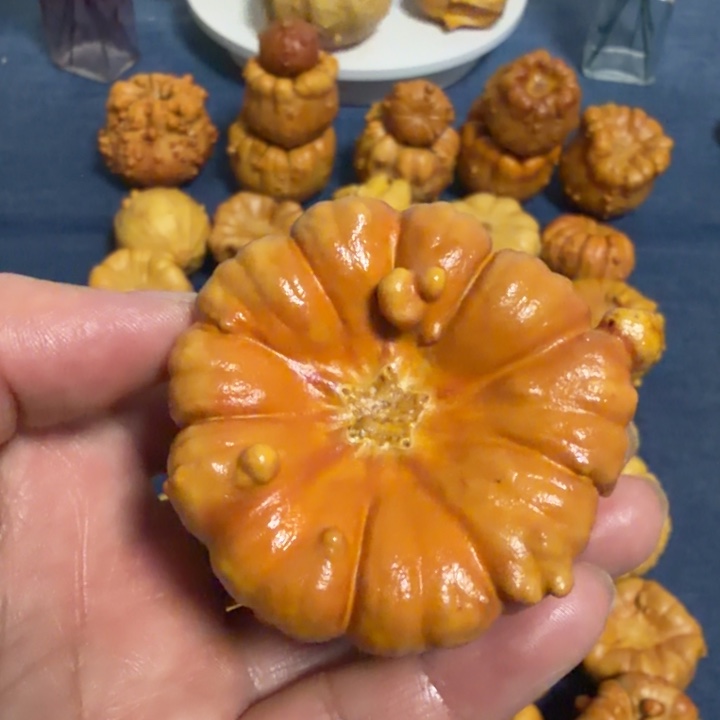狗****墨西哥七彩疙瘩葫芦