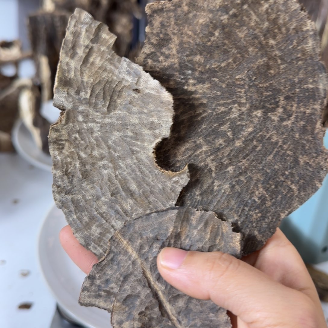 沉香碎屑沉香香港老顶30克