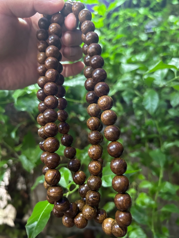 【土特产菇525】净含量110g