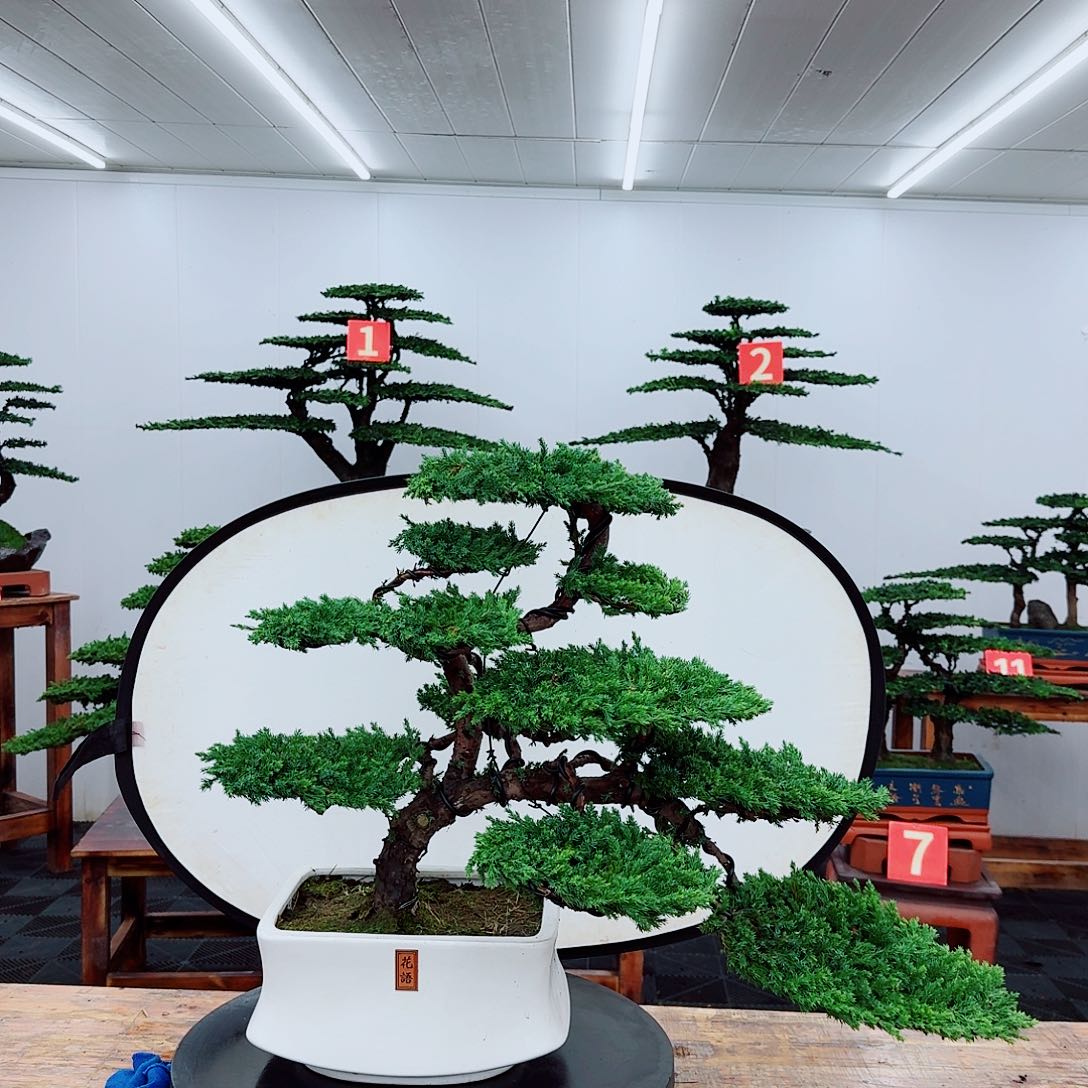 无花朵新****厂0000000000