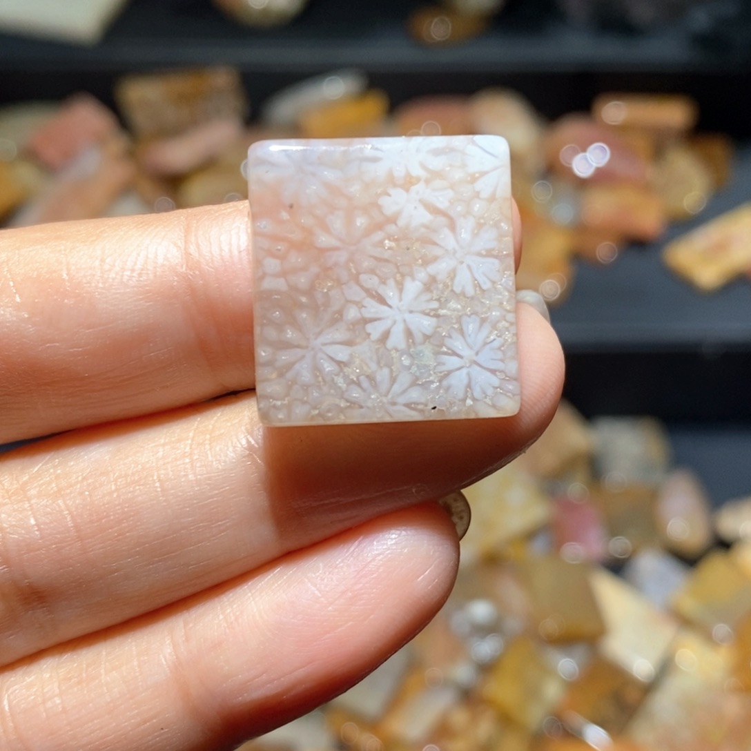 【闪购商品】硅化玉颈饰未镶嵌