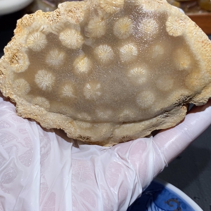 【闪购商品】未镶嵌珊瑚玉硅化玉