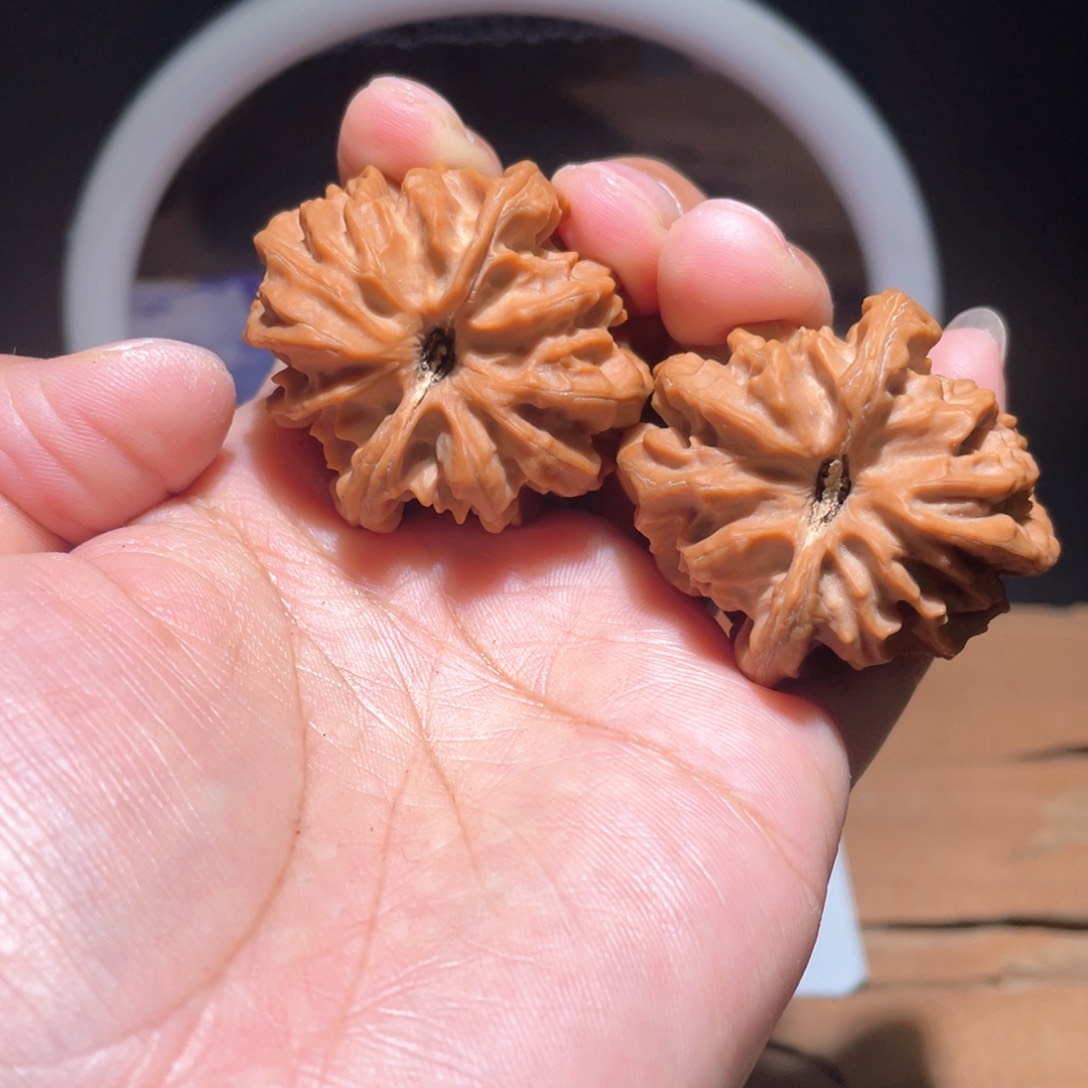 皮*鸭S007 38尺 大龙