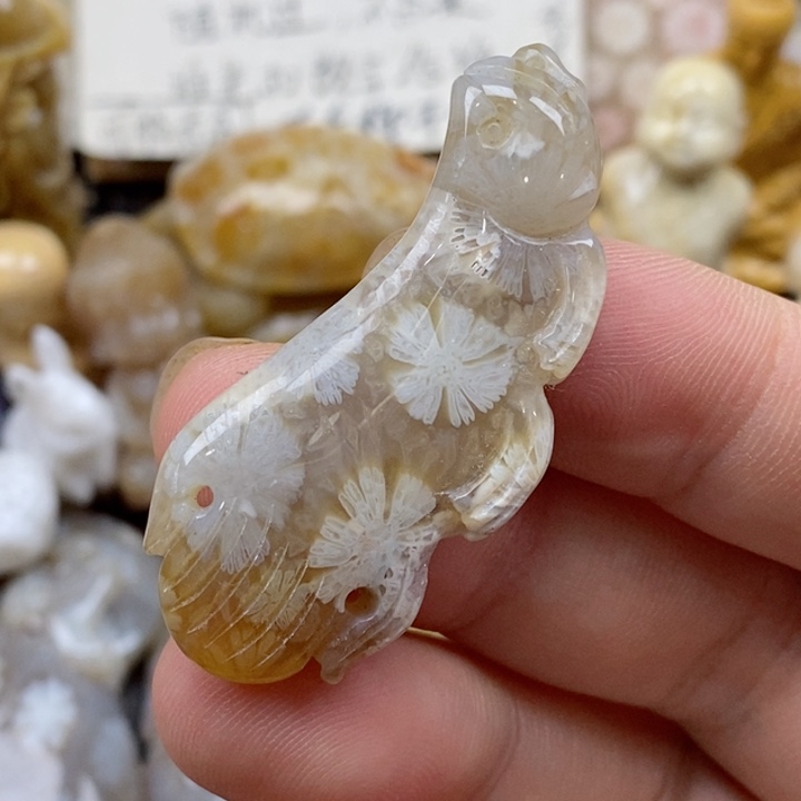颈饰未镶嵌硅化珊瑚（珊瑚玉）