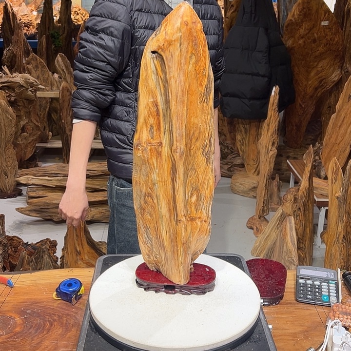 松木（琥珀木）礼琥珀