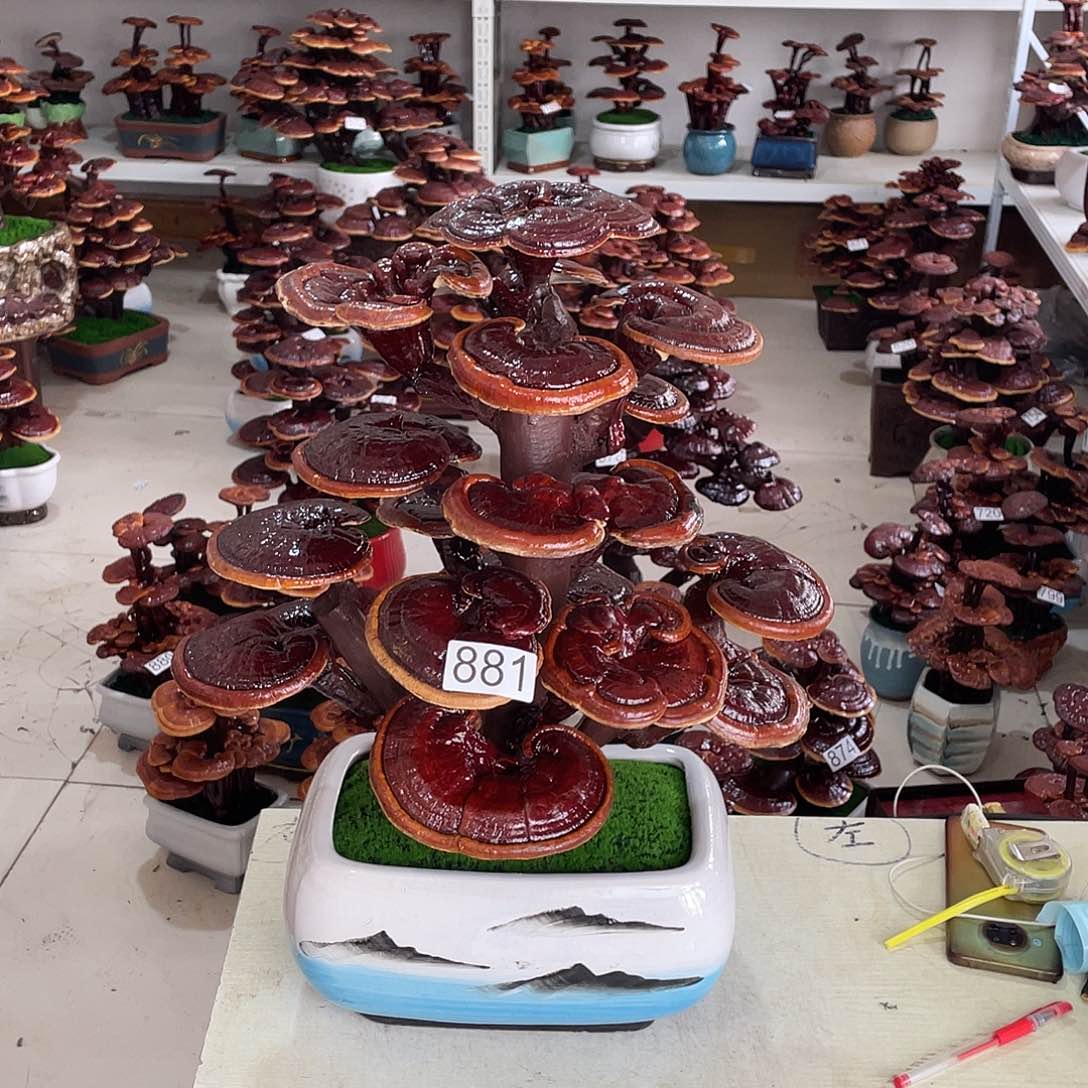 88188888888888888888号