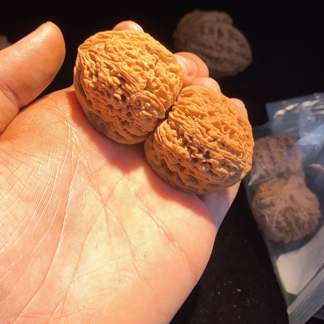 阿****核桃手串/手链南疆石38尺寸全品