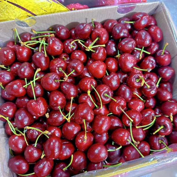 3JD车厘子/箱 5斤 完美品质  海运美早辽宁省