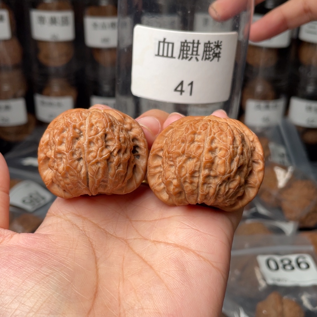 ꧁***꧂把件文玩核桃全品41血麒麟