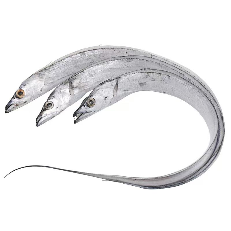 【五泉优选】鲜到鲜得浙江舟山大带鱼一条450~500g带鱼同城送