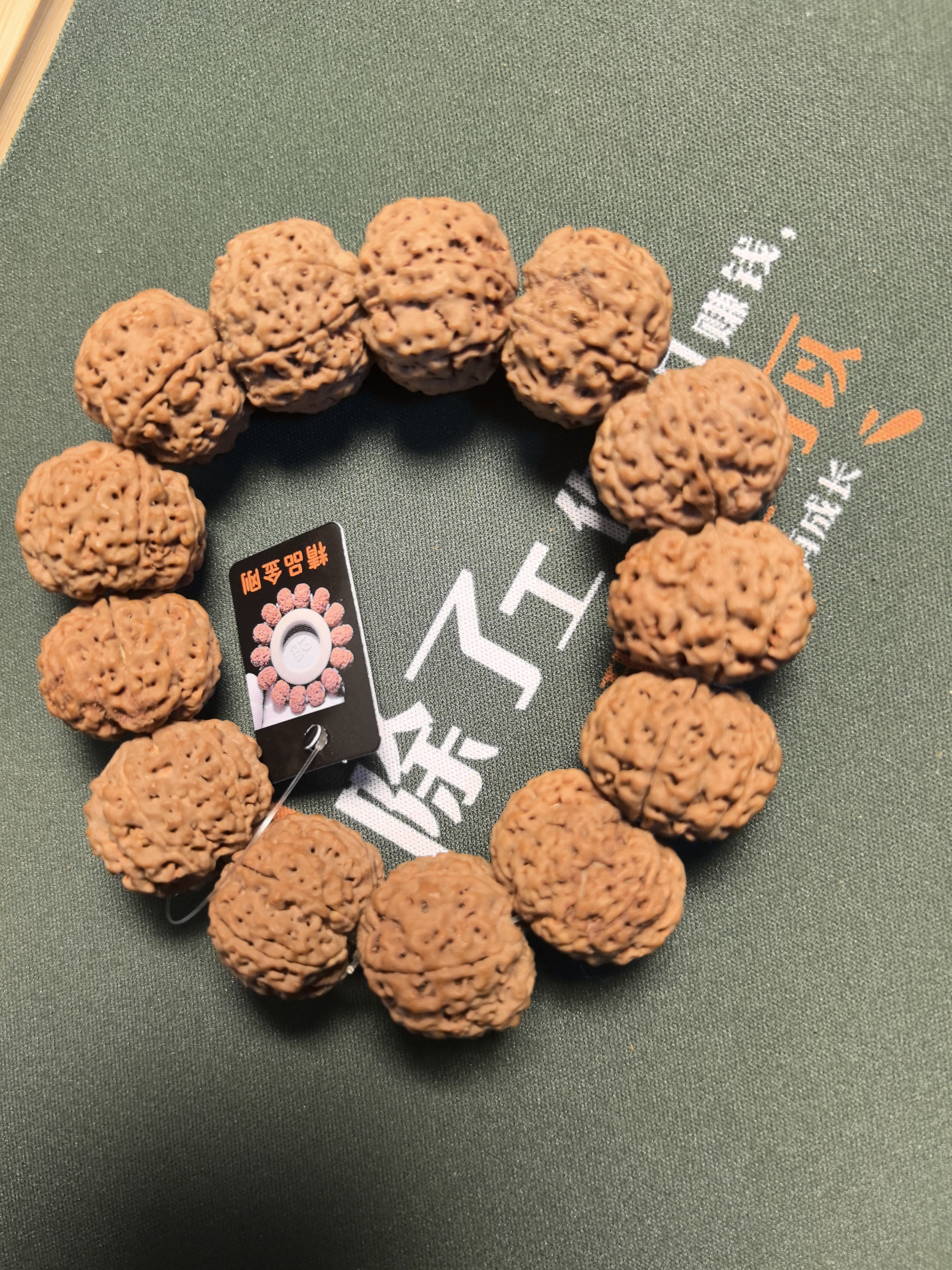 六瓣大金刚，粗筋爆肉，23左右