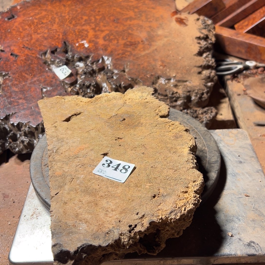 松***园大果紫檀（缅甸花梨）