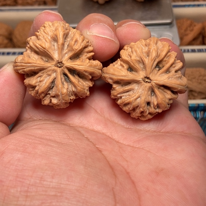 文玩核桃把件暴雪