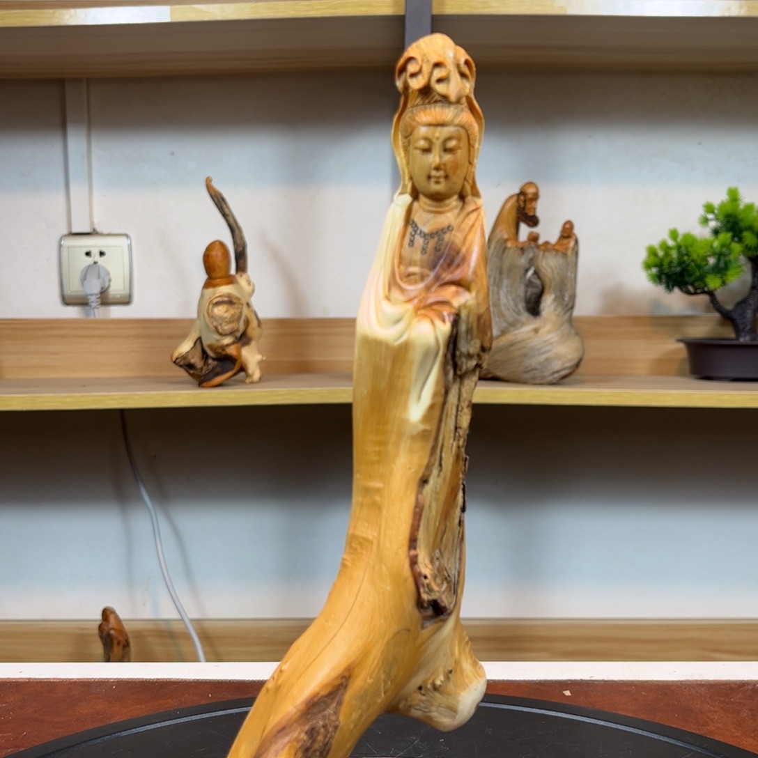 柏木（崖柏）g j h h h h h j j