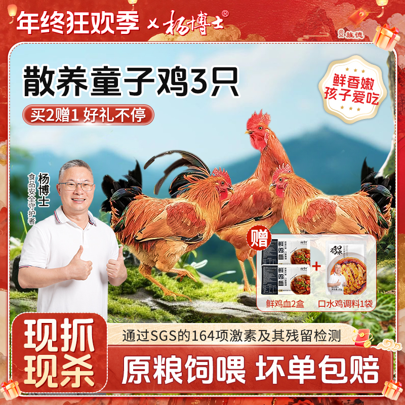【食安放心童子鸡】杨博士深山放养低脂土鸡农家正宗散养土鸡新鲜嫩