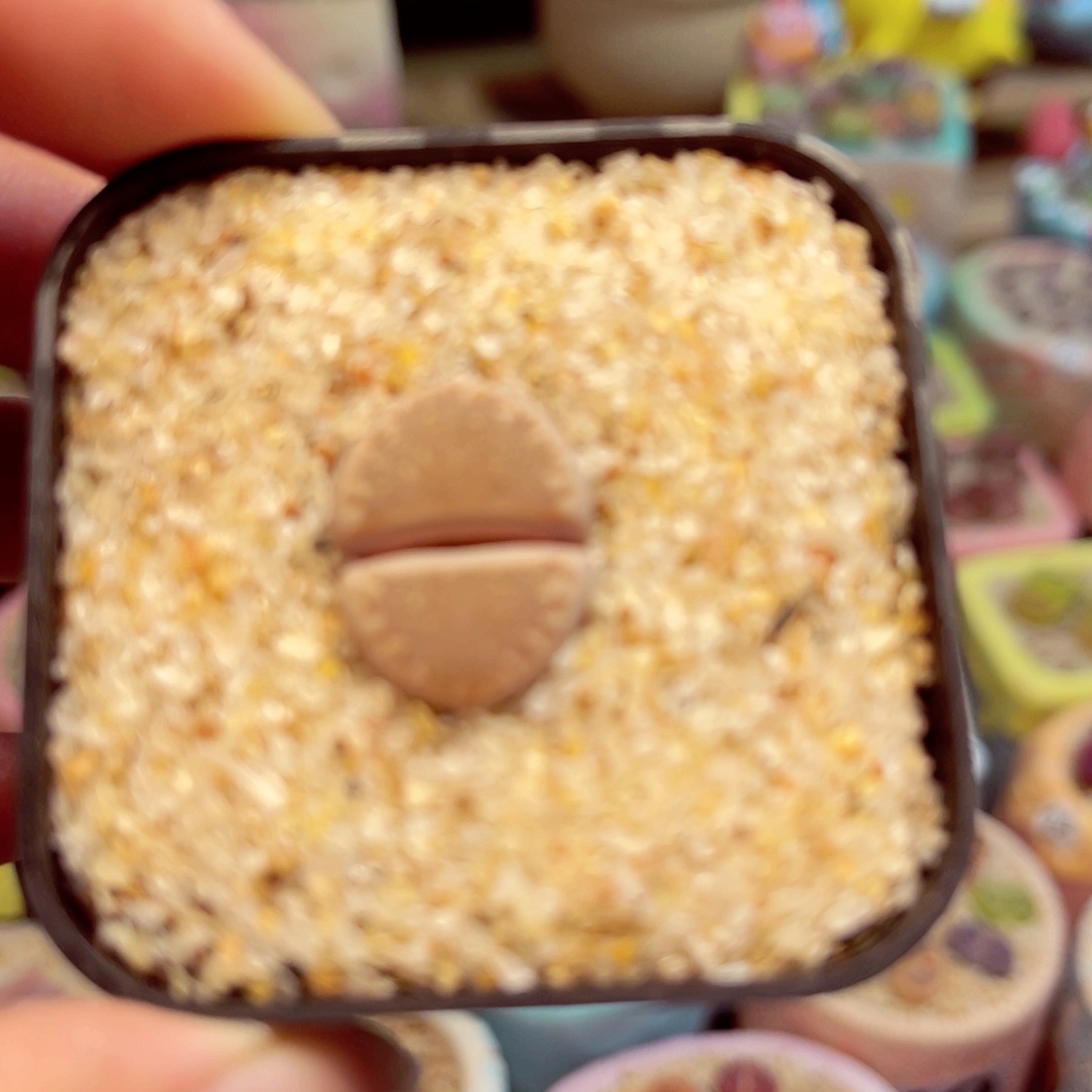 499 888888888888888888