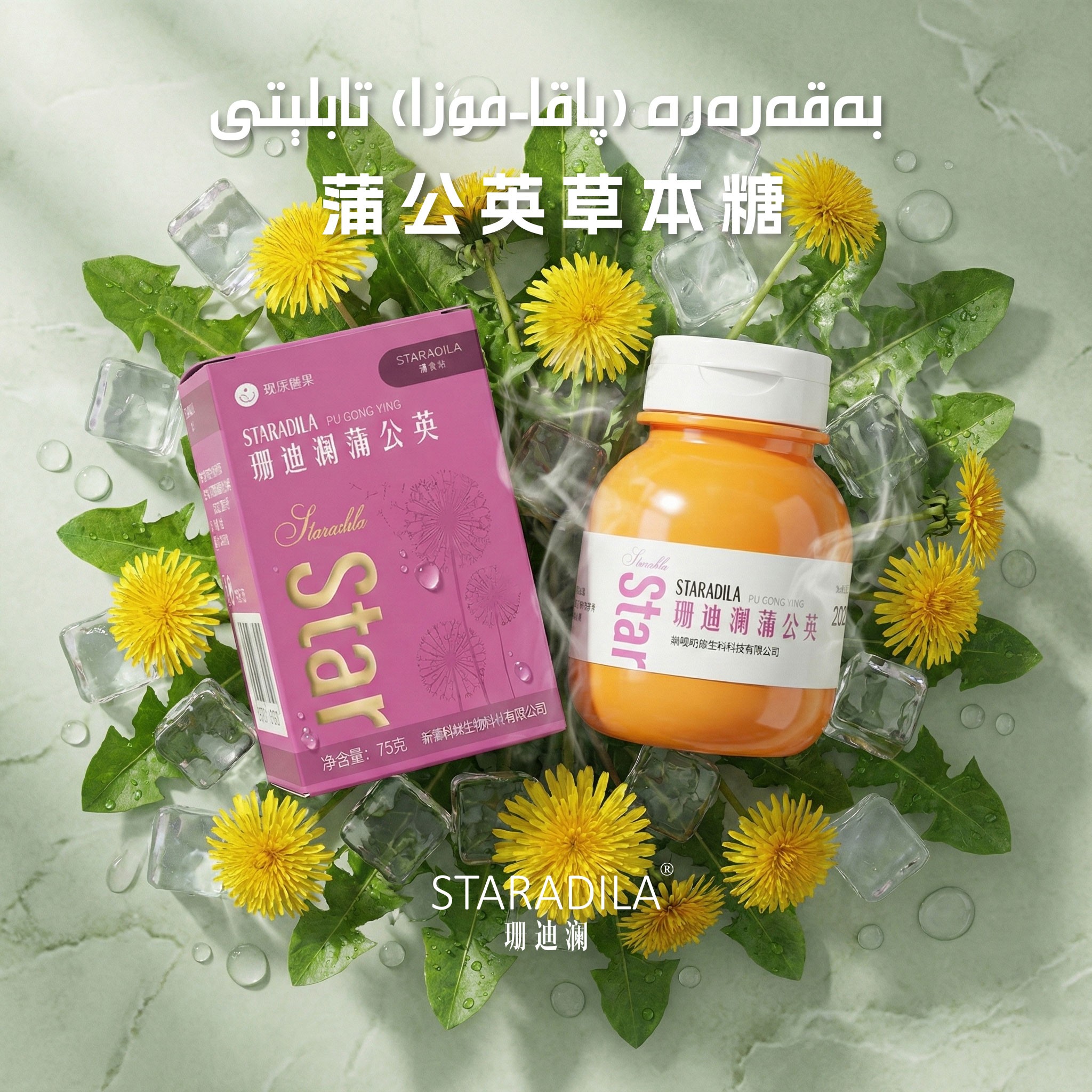 StarAdila蒲公英 硬质糖果yalbasa