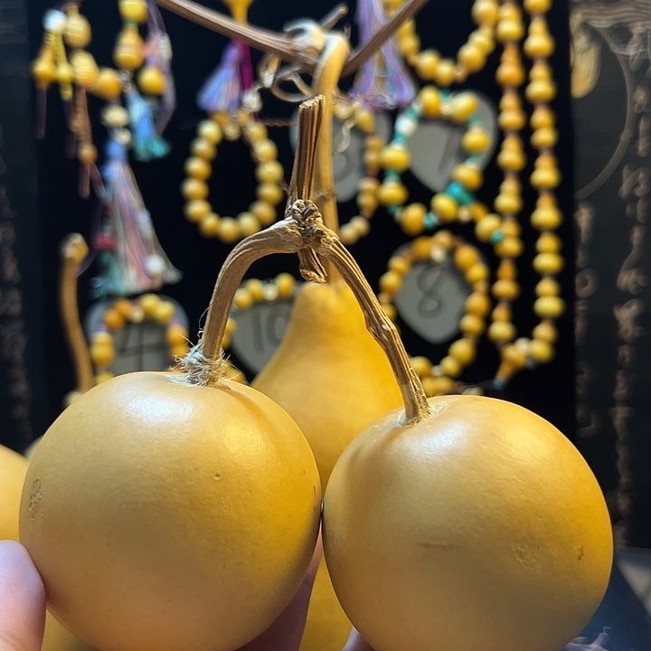 葫芦一物一拍，不退不换