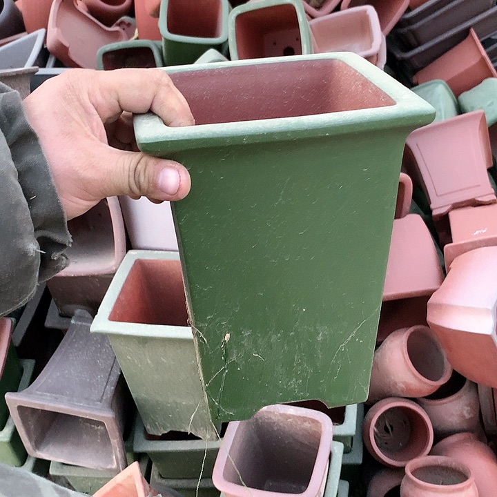 紫砂哈哈真的是太给力太火爆了