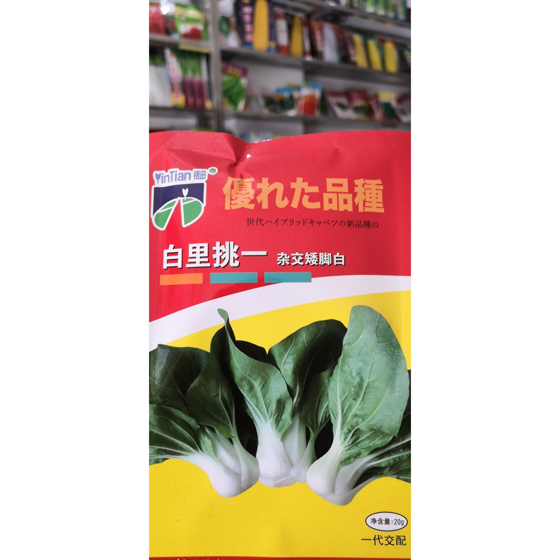 中国产地春秋播种优质杂交奶白菜种子