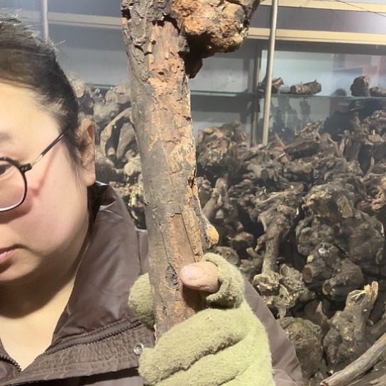 香榧木保**良火琉璃的故事毛料摆件看