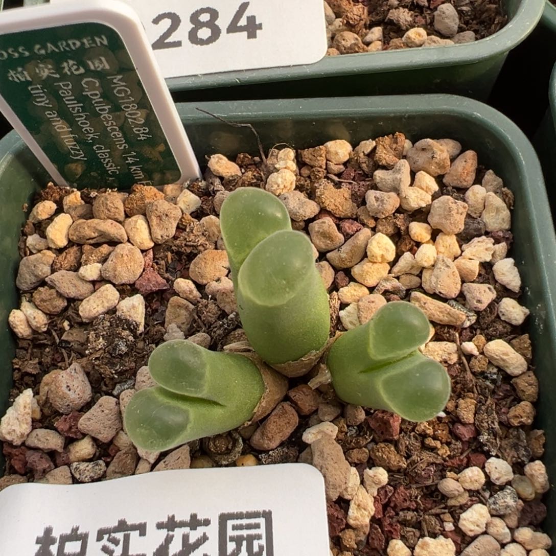 289/。       捡漏场