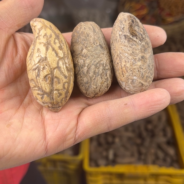 吊坠千眼菩提千眼菩提 53 号。