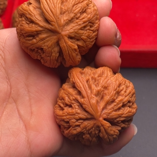 文玩核桃把件秦岭山脉核桃