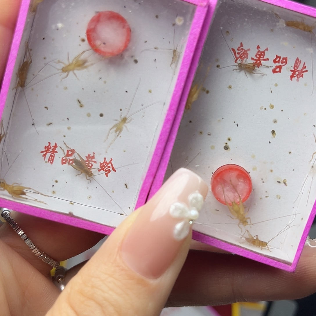 蚂蚁工坊小黄。    