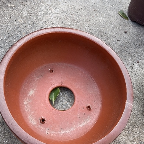 紫砂宜兴紫砂花盆仿古鱼缸小