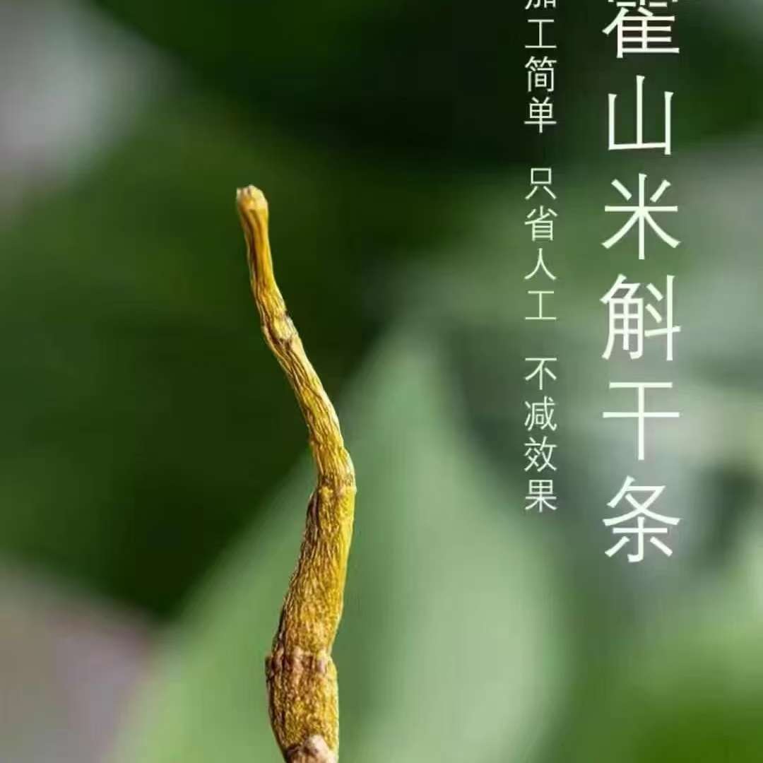正宗霍山米斛寸金（寸断），霍山原产直发，日常泡茶泡水，煲汤打粉