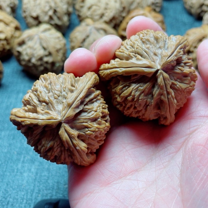 手工三棱白狮子三棱