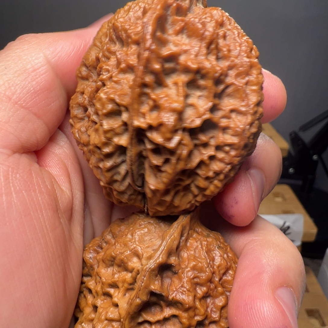 文玩核桃吊坠四海飞龙45mm