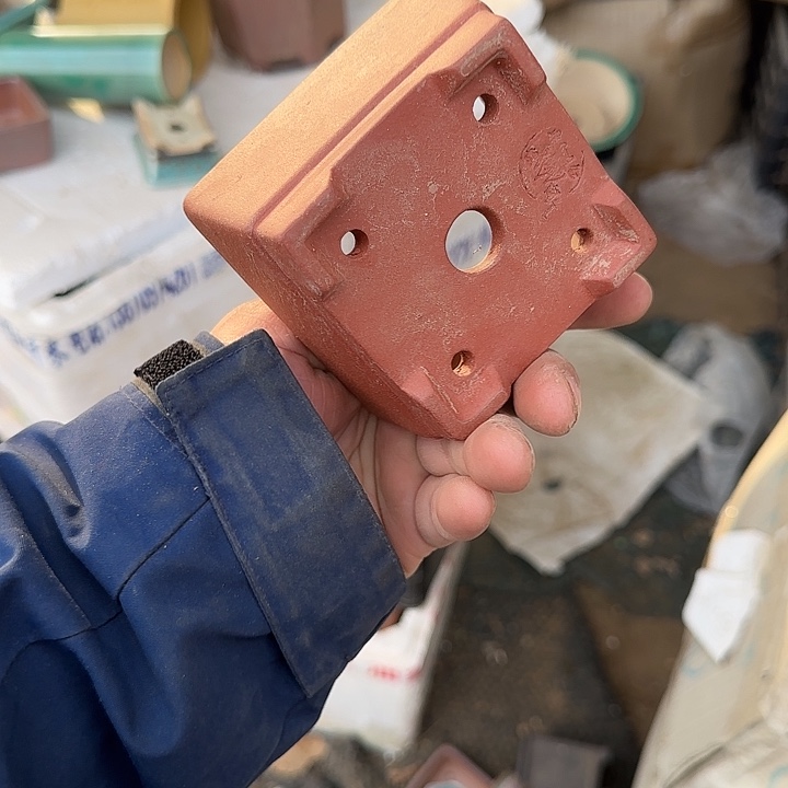 在这里可以看的了的是一片绿色海燕