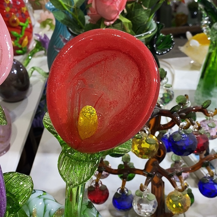 夜光花高45厘米宽8厘米