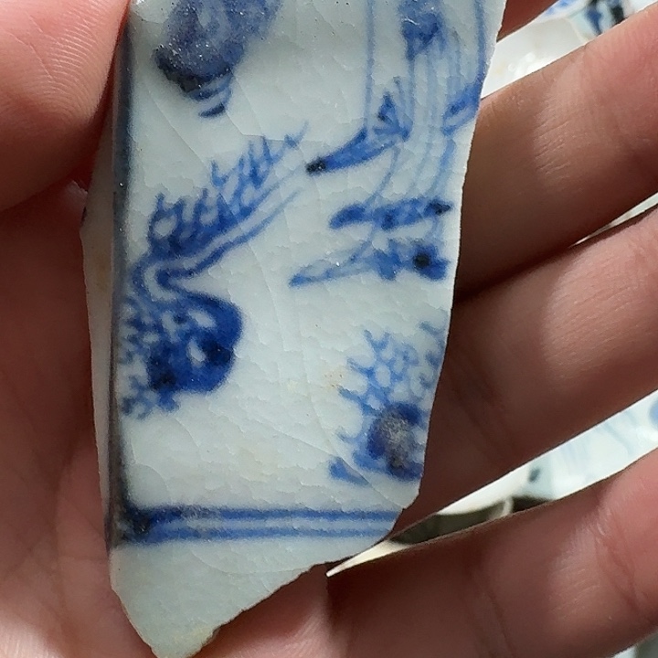 奥***l瓷片瓷片标本，顺丰包邮