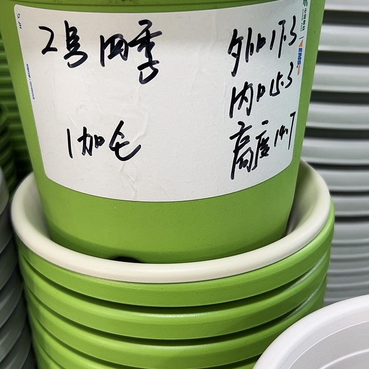 特价2号口17高14白色10只无托