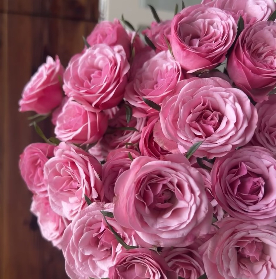 【10枝多头恋恋不舍】全场任意两单顺丰冷链包邮，0度以下必拍保温棉