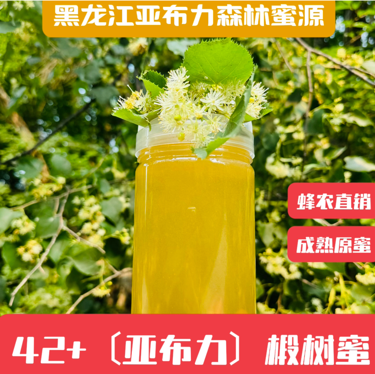 (雅香原蜜）亚布力椴树蜜 椴树蜜 蜂蜜 东北椴树蜜 自产自销成熟蜜