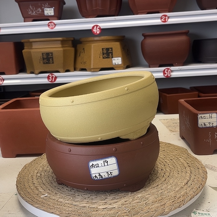 紫砂花盆紫砂艺术