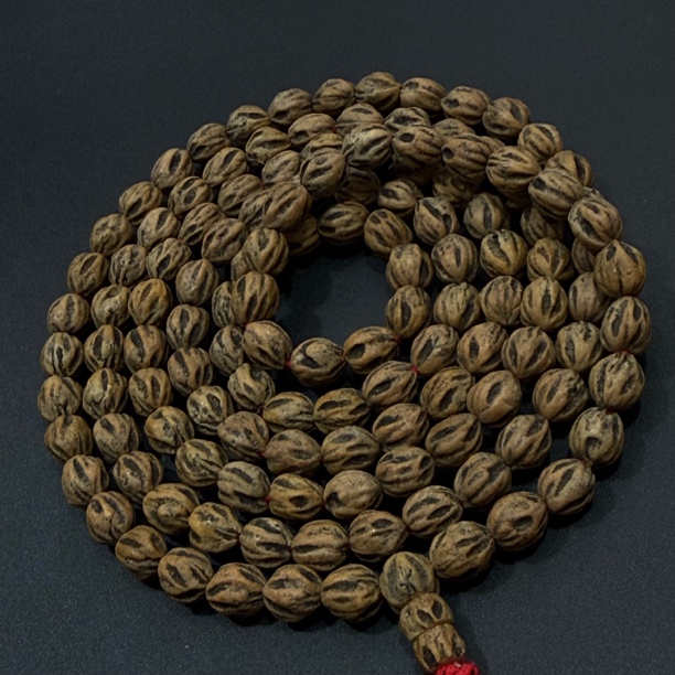 热振一哥《少帅二十七号.战天》定制级百香籽