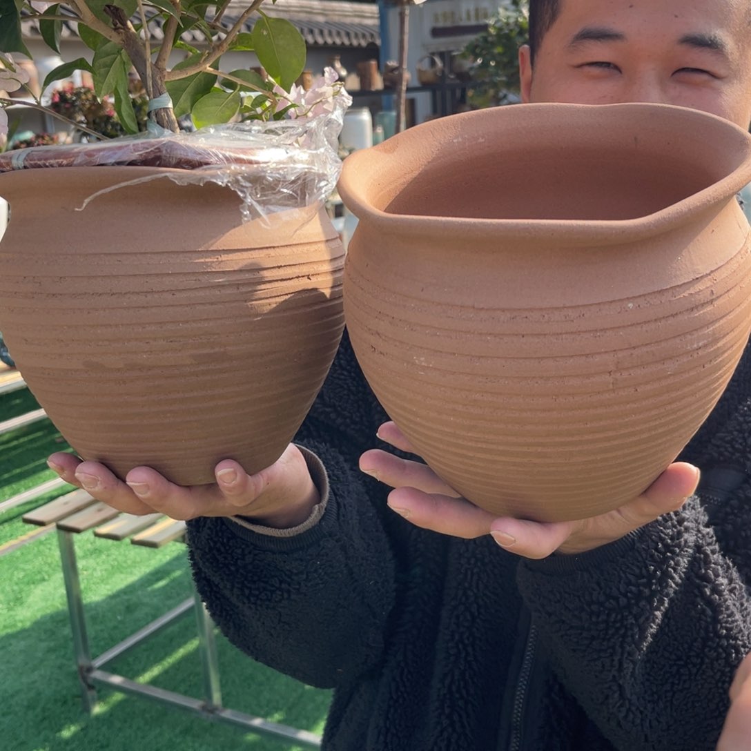 红陶彭于晏0216-1016