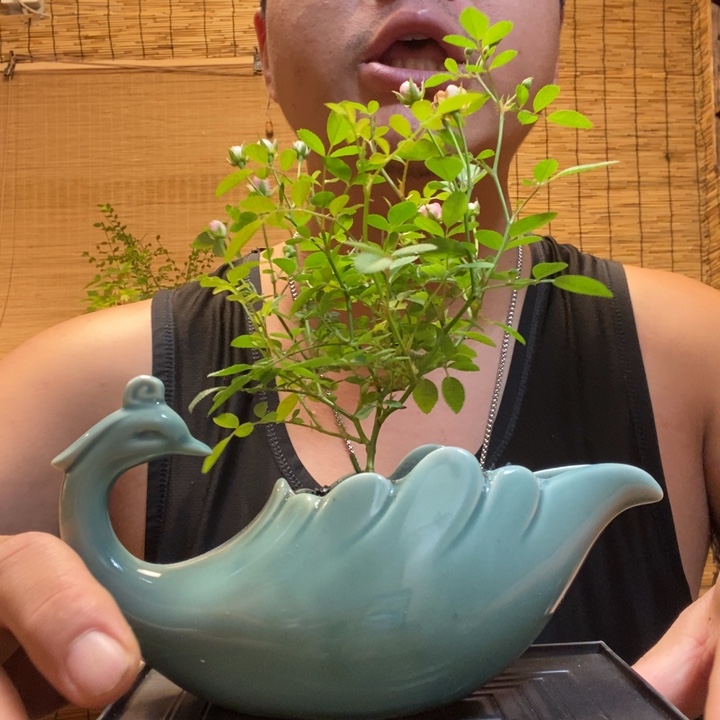 一物一拍所见即所得694