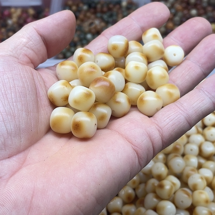 吊坠白玉菩提13炭烤桶50颗➕灯牌宠60颗