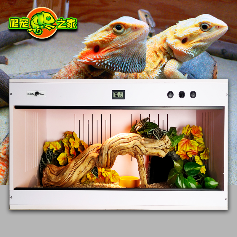 爬宠之家PVC饲养箱缘乌龟半水冬天保温加热蜥蜴造景爬宠箱