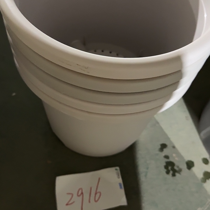 编号2916编号2916