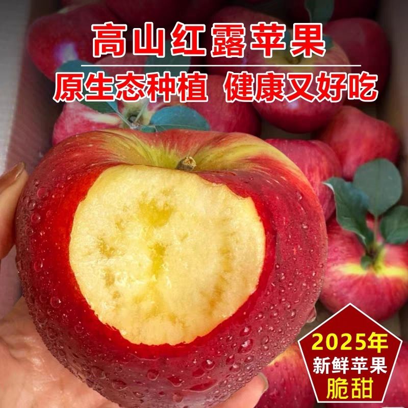 【糖心丑苹果】云南昭通红露丑苹果现摘纯甜无酸汁水高山采摘糖苹果