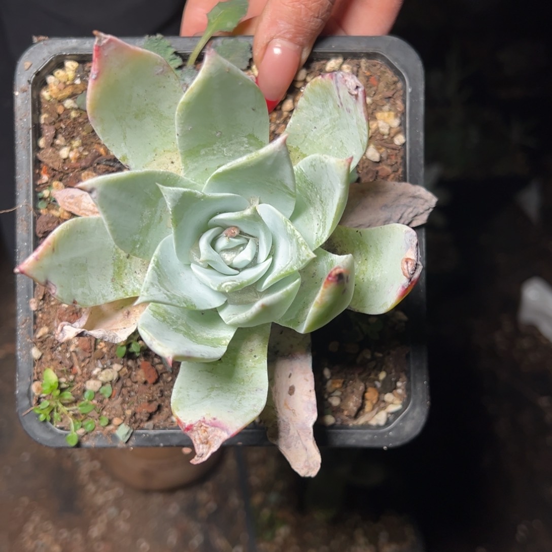 447哈哈哈哈哈哈哈哈